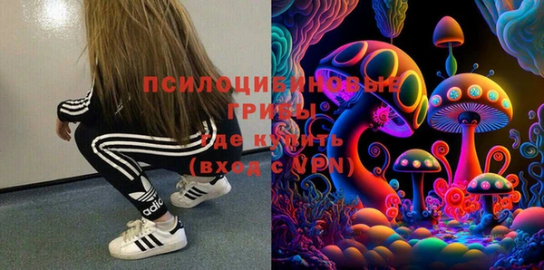 прущая мука Осташков