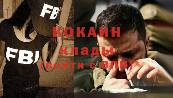 гидра Осинники