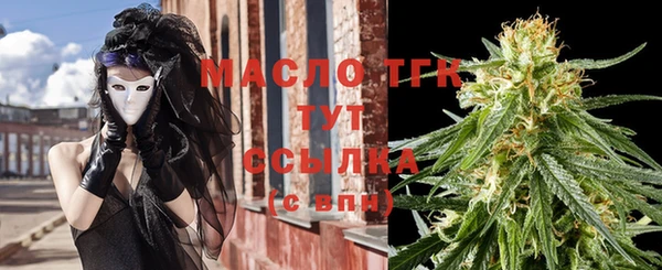 гидра Осинники